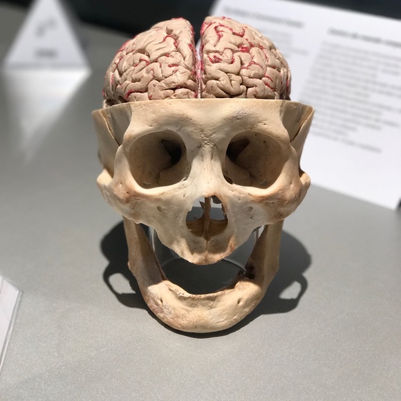 Meet your Posher, Luis - Picture 1 of 1